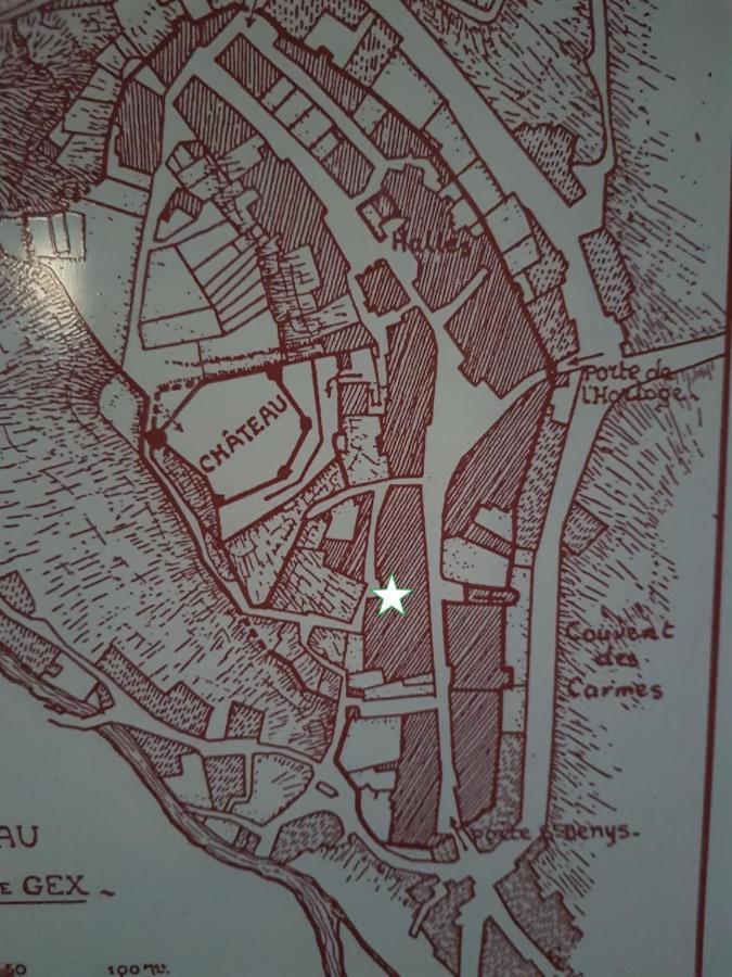 Hebergeneve : Aux Pieds Du Chateau Gex Extérieur photo