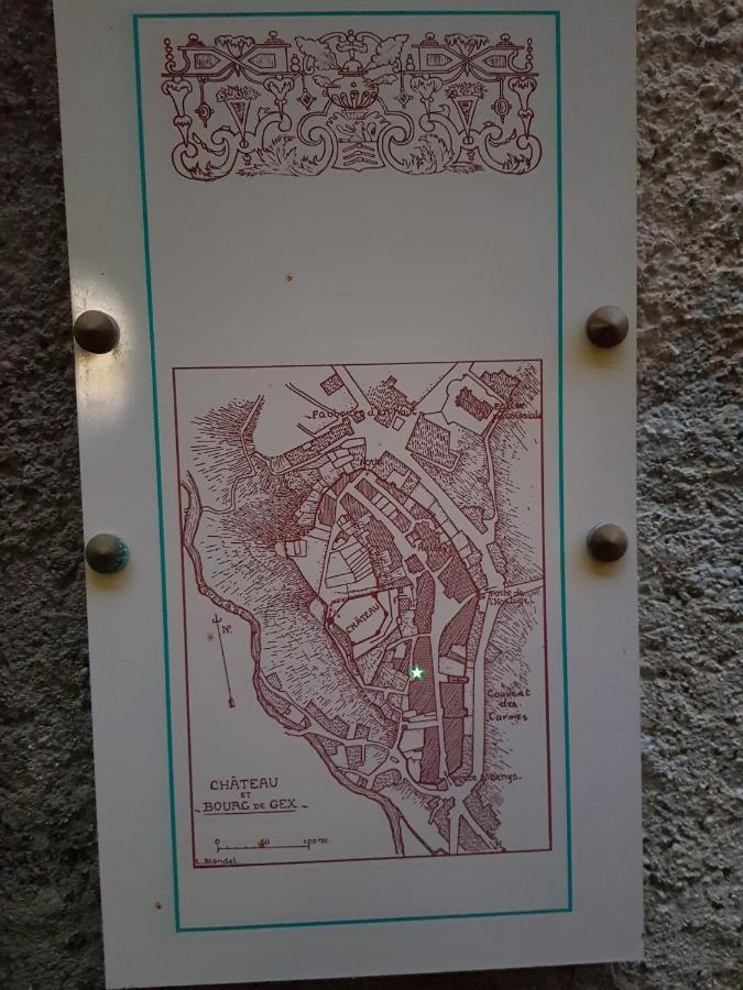 Hebergeneve : Aux Pieds Du Chateau Gex Extérieur photo